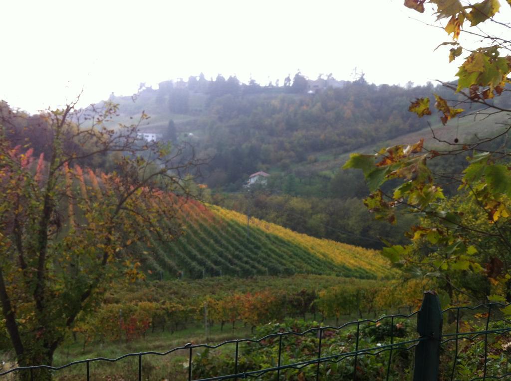 Agriturismo Costa Dei Platani Acqui Terme Exterior foto