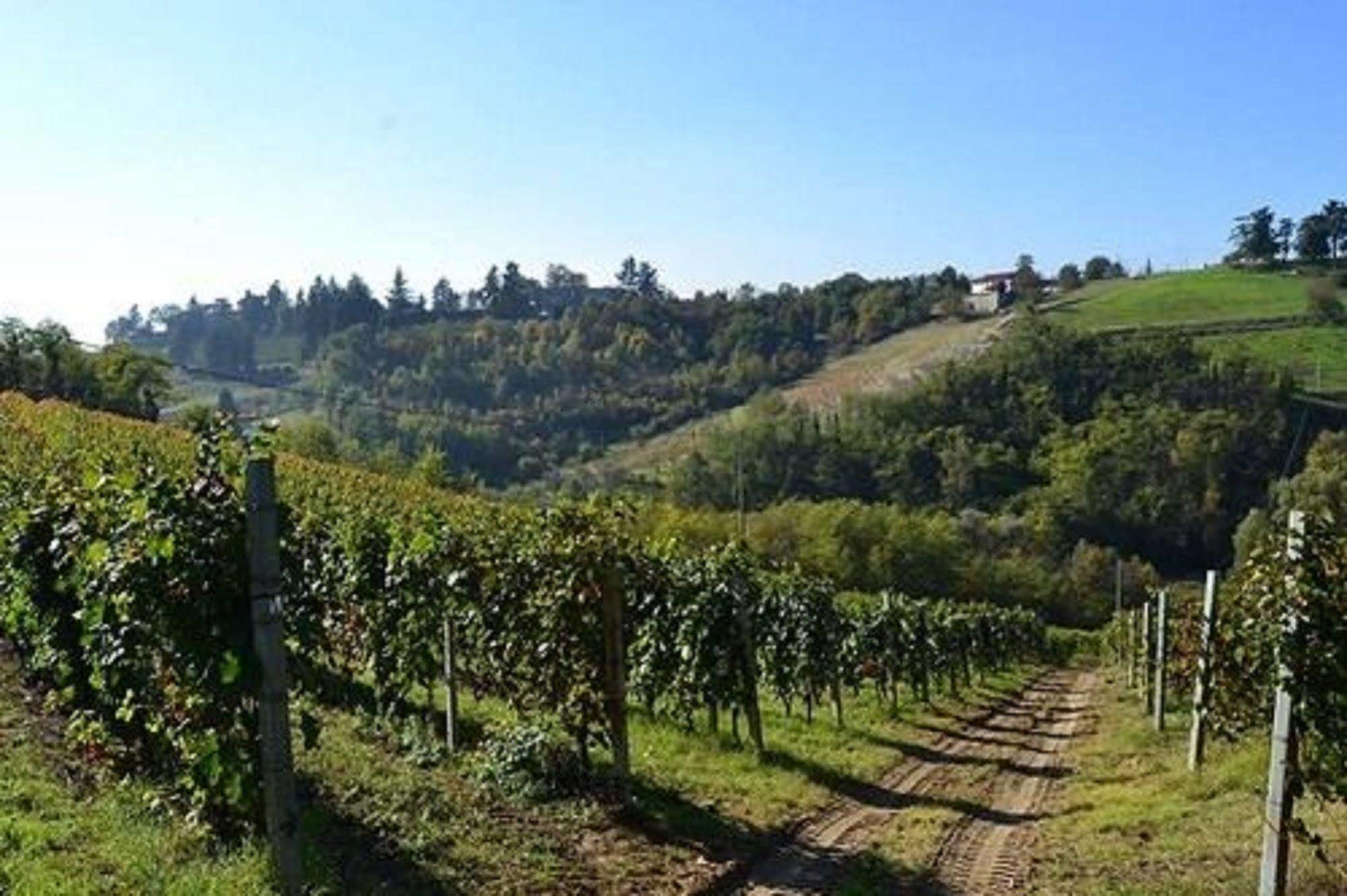 Agriturismo Costa Dei Platani Acqui Terme Exterior foto